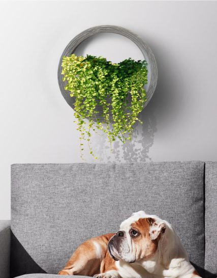 FLORA